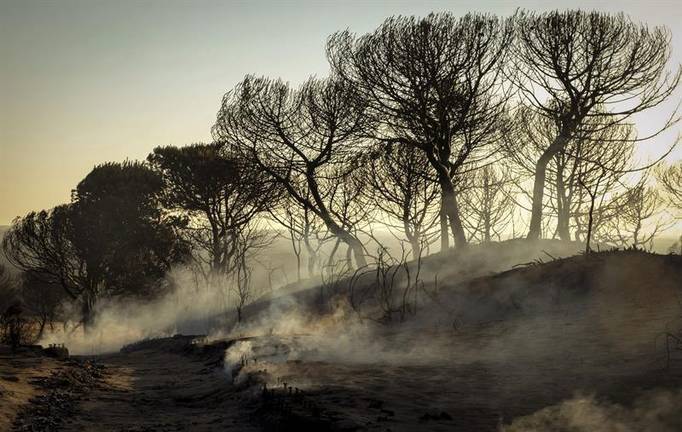 Tres investigados por otro incendio en el Espacio de Doñana que calcinó 70 hectáreas