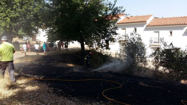 Bomberos y vecinos sofocan un incendio de eucaliptos junto a casas en Aracena