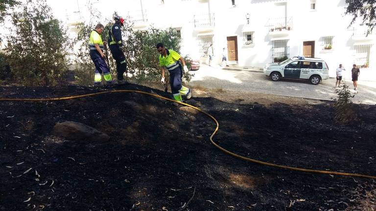 Bomberos y vecinos sofocan un incendio de eucaliptos junto a casas en Aracena 1