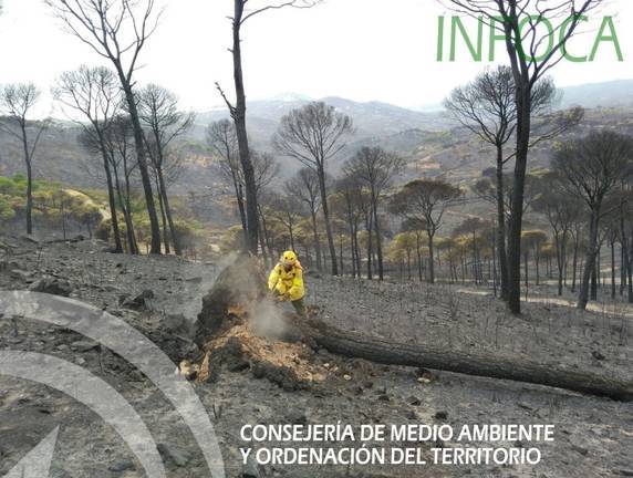 Una veintena de bomberos trabaja en Riotinto para rematar el incendio