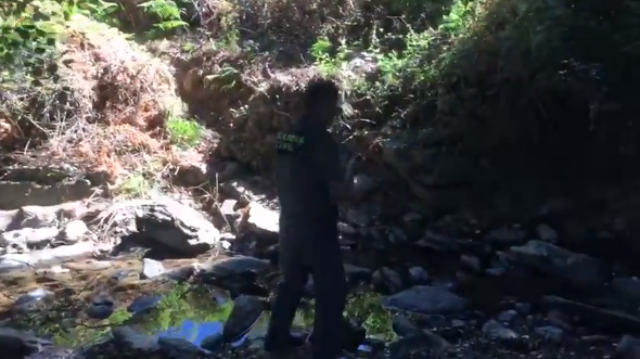 El causante de los vertidos de cacas y orines de cerdos en Cortelazor se enfrenta a una sanción