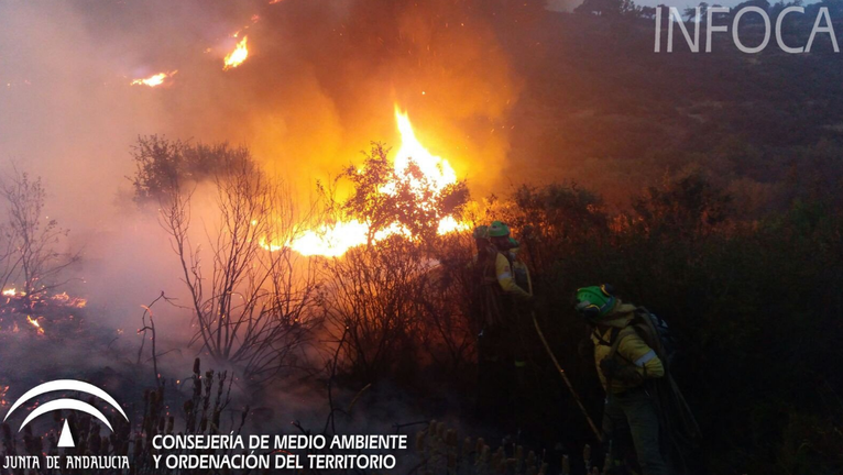 Extinguido tras cinco días el incendio de La Granada de Riotinto