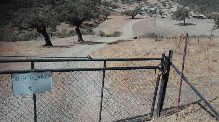 Responsables del vertido en Cortelazor tienen otros dos expedientes sancionadores abiertos