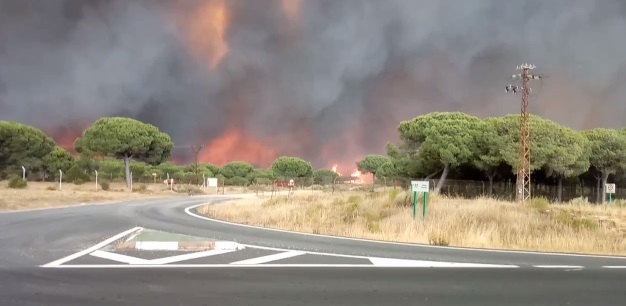 Huelva dispondrá de un Plan de Recuperación forestal para las zonas incendiadas