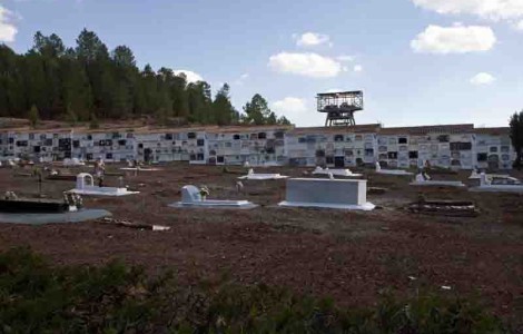 Salen a la luz 20 cuerpos en las catas de la fosa común de Nerva