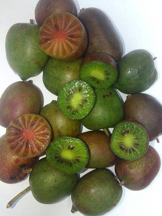 kiwiberry