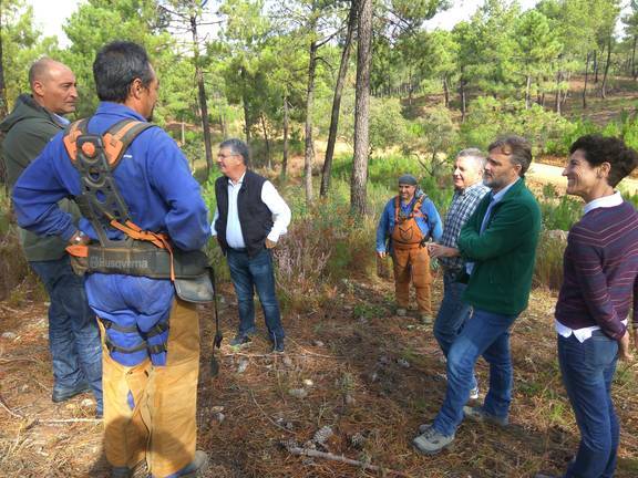 El Plan Infoca reanuda la prevención en los montes tras acabar el periodo de máximo riesgo de incendios