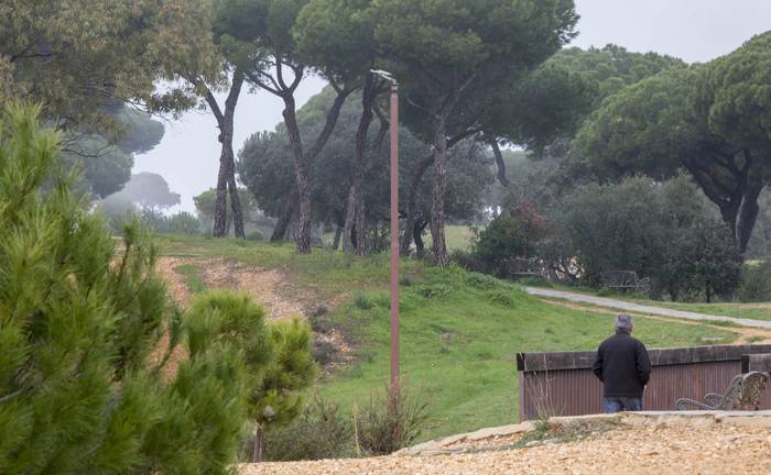 Vándalos cortan una decena de árboles en el Parque Moret
