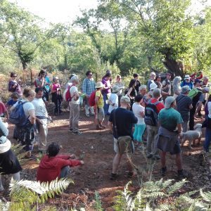 Convocan una nueva marcha contra la usurpación de los caminos públicos