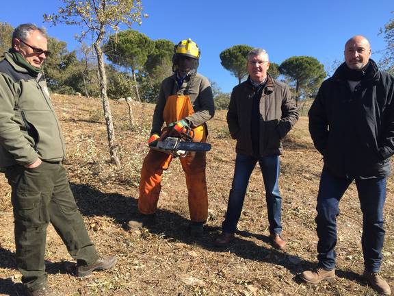 La Junta dedica más de 3 millones a trabajos preventivos del Infoca en la provincia