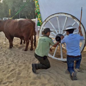 43 filiales finalizan hoy su peregrinación con la entrada en sus lugares de origen