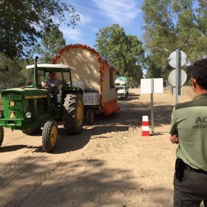 CSIF exige a la Junta mejoras laborales para los agentes de medio ambiente y los celadores forestales