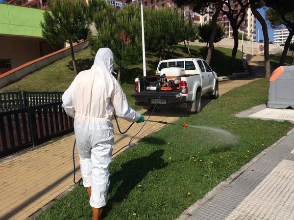 Diputación comienza a fumigar contra los mosquitos en zonas ajardinadas de Punta