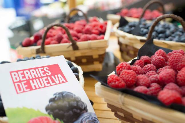 El plan estratégico de Huelva busca nuevos mercados para los frutos rojos
