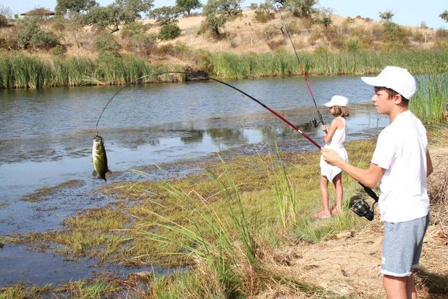 Comienzan las jornadas de iniciación a la pesca deportiva para jóvenes en el Huerto Ramírez