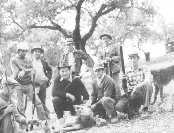 Los lobos en la Sierra y su última cacería