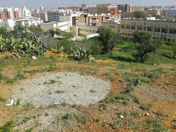 ‘Huelva te mira’ se moviliza contra “la futura urbanización” del cabezo de La Joya