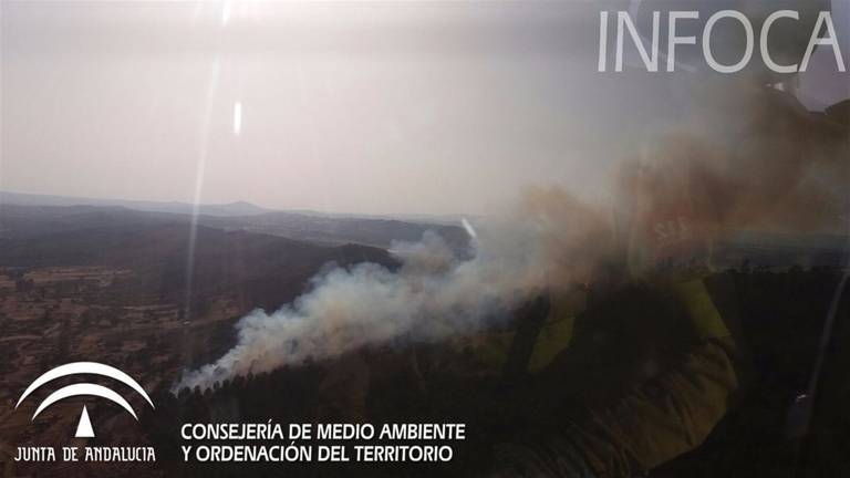 Libertad con cargos para el menor acusado de quemar más de 80 hectáreas en Calañas