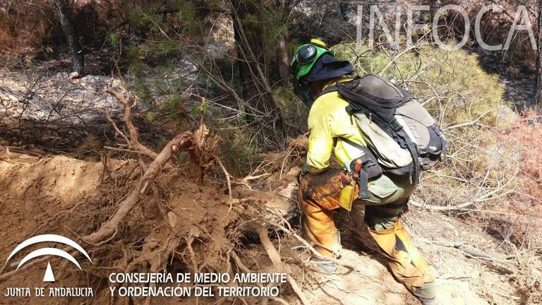 Alcaldes de Nerva y Almonaster remarcan “la indignación” de los vecinos tras los incendios y esperan detenciones