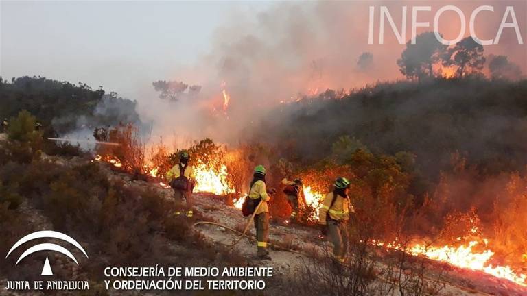 El fuego sigue abrasando Nerva y superará las 500 hectáreas