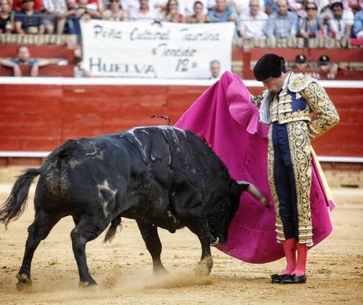 Equo quiere retirar las ayudas públicas a los toros y destinar el dinero contra el abandono animal