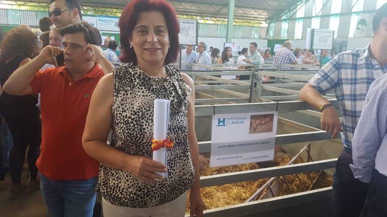 La Diputación lleva el Manchado de Jabugo y el Retinto del Andévalo a la Feria Ganadera de Zafra