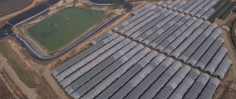 La Confederación del Guadalquivir tiene solo dos guardas para controlar 1.700 Km2 de zonas agrícolas
