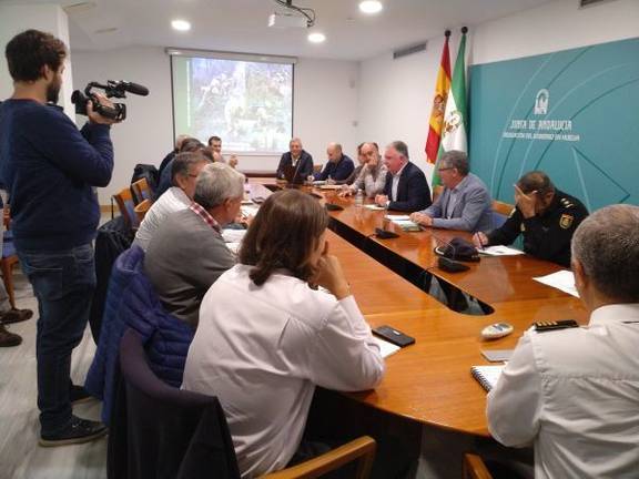 Huelva registra un descenso del 83% de la superficie quemada, con 1.994 hectáreas calcinadas este año