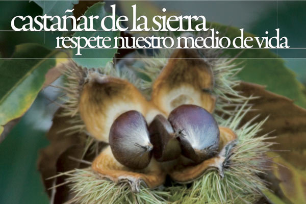 COAG espera buena cosecha de castañas pero alerta de la proliferación de robos en el campo