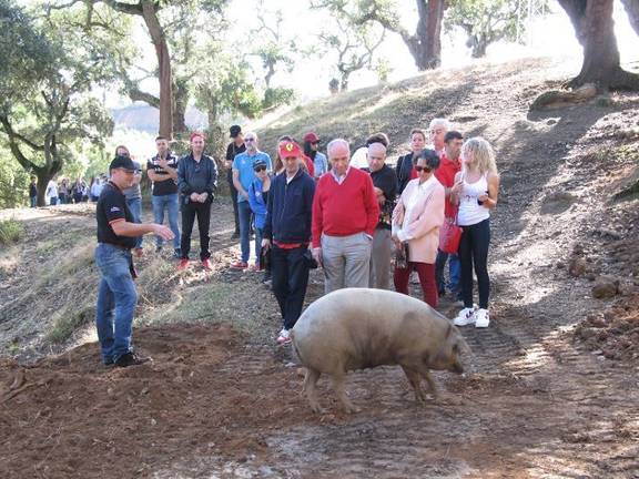 El club Ferrari España visita la Ruta del Jabugo