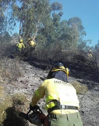 Un incendio en Mazagón moviliza a 18 bomberos del Infoca