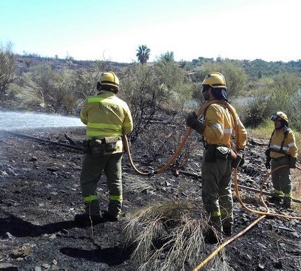 El incendio forestal del paraje Pueblo de Dios de Niebla calcina 2,1 hectáreas