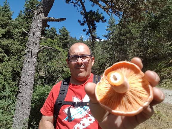 Tomás Hermoso: “La comarca serrana es la más importante de Europa en micología”