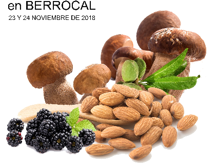 Berrocal vuelve un año más a rendir homenaje a la micología y la naturaleza