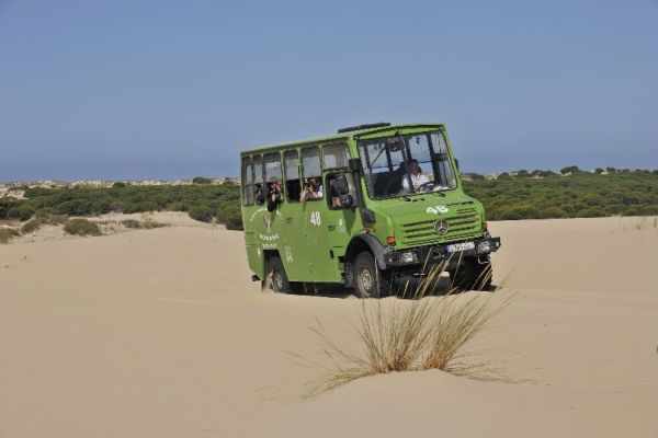 Periodistas alemanes visitan Doñana para difundir su riqueza en su país
