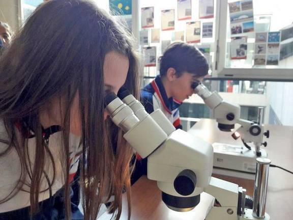 Talleres, exposiciones y charlas en la Semana de la Ciencia y Tecnología de la UHU