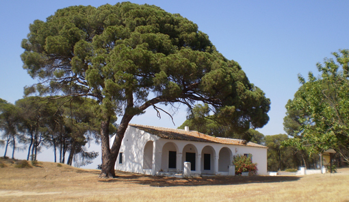 El Defensor del Pueblo abre una queja por el estado de Fuentepiña, la casa de Juan Ramón