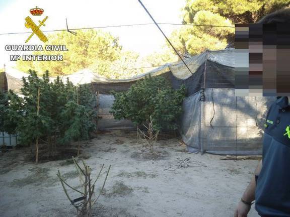 Ocho detenidos por tráfico de drogas en Moguer y Bonares
