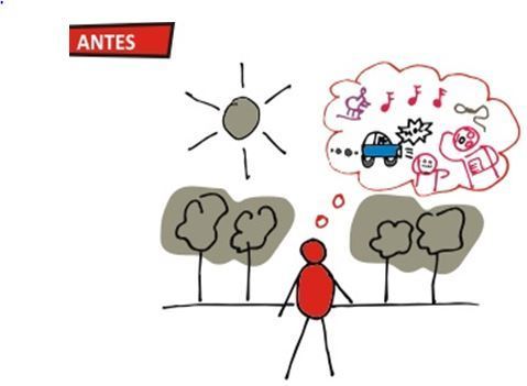 Aquí y ahora: La revolución del mindfulness