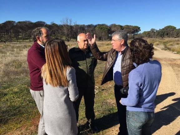 La Junta restaura la zona dañada por el incendio de La Granada de Riotinto