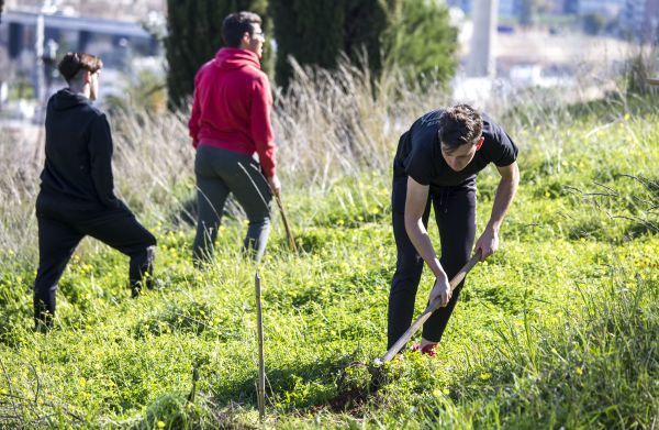Una campaña sustituye eucaliptos por alcornoques, pinos y madroños en el Parque Moret