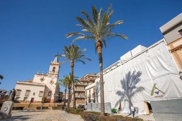 El Ayuntamiento sanea los 850 pinos de Huelva y reanuda el combate contra el picudo de las palmeras