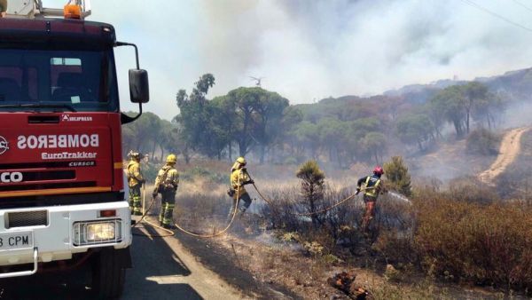 Declarado un incendio forestal en Santa Ana