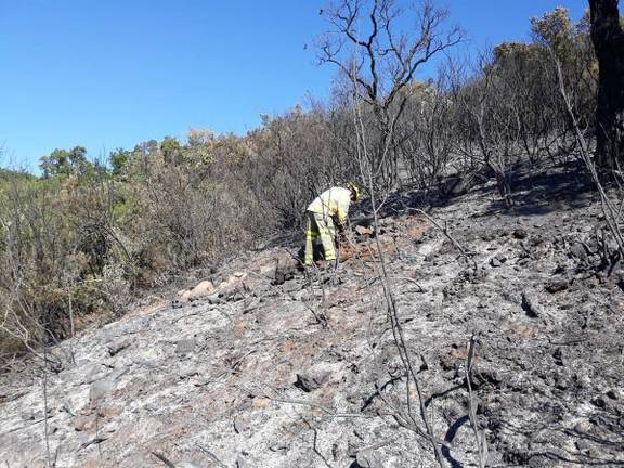 Extinguido el incendio de Santa Ana