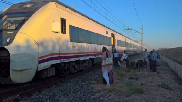 El atropello de un rebaño de ovejas afecta al tren de Media Distancia que conecta Huelva y Extremadura