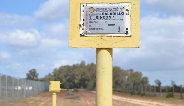 La Junta es partidaria de evaluar el proyecto de Gas Natural en conjunto y no despiezarlo