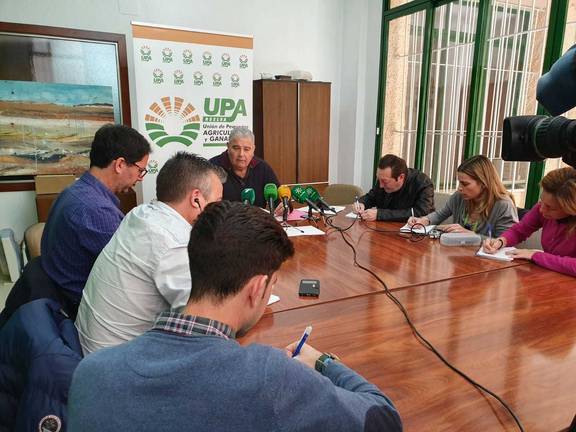 La fresa se hace fuerte: igual producción y más calidad a mitad de campaña