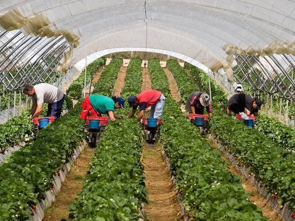Interfresa constata la consolidación y el “éxito” del Plan de Responsabilidad Ética en el sector