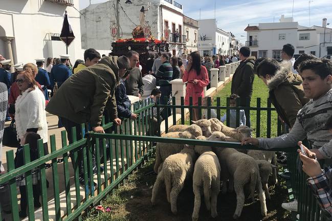 La Rifa de los Borregos de San Juan del Puerto se celebrará este domingo