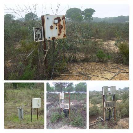 Agricultura ve en el trasvase al Condado la solución al robo del agua en Doñana